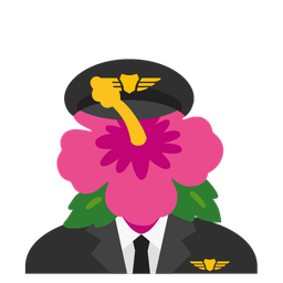 hibiscus and airplane