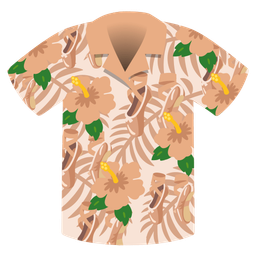 hibiscus and ballet shoes