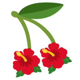 hibiscus and cherries