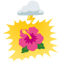 hibiscus and cloud with lightning