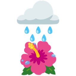 hibiscus and cloud with rain