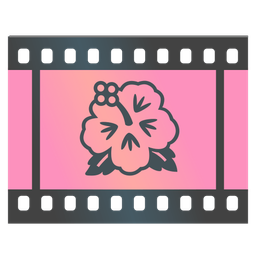 hibiscus and film frames