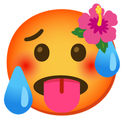 hibiscus and hot face