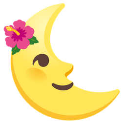 hibiscus and last quarter moon face