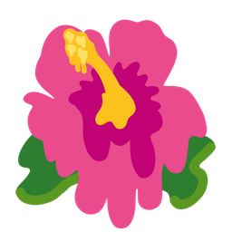 Hibiscus and Melting face