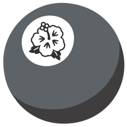 hibiscus and pool 8 ball