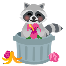hibiscus and raccoon
