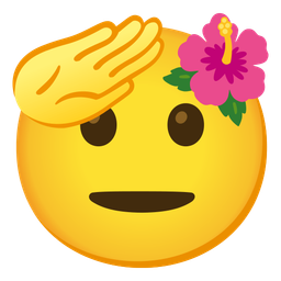 hibiscus and saluting face