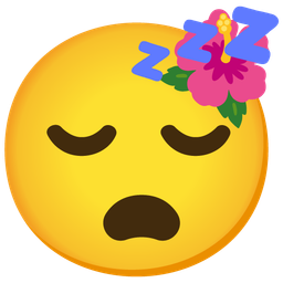 hibiscus and sleeping face