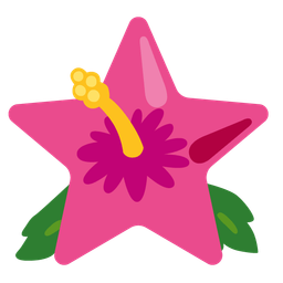hibiscus and star