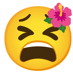 hibiscus and tired face