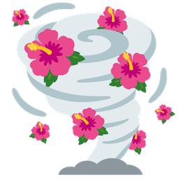 hibiscus and tornado