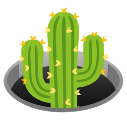 hole and cactus
