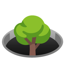 hole and deciduous tree