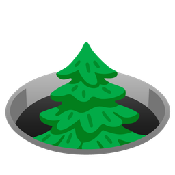 hole and evergreen tree