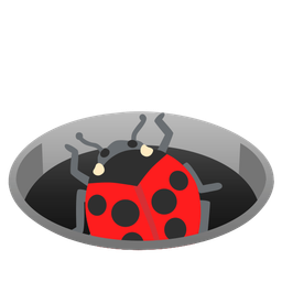 hole and lady beetle