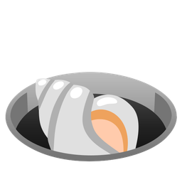 hole and spiral shell