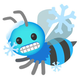 honeybee and cold face