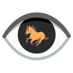 horse and eye