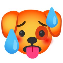 hot face and dog face