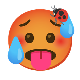 hot face and lady beetle