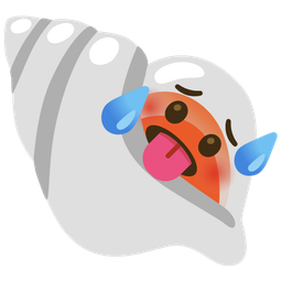 hot face and spiral shell