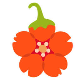 hot pepper and cherry blossom