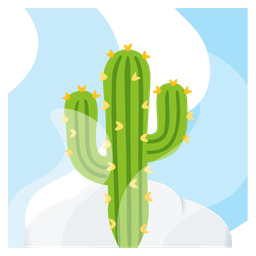 hot springs and cactus