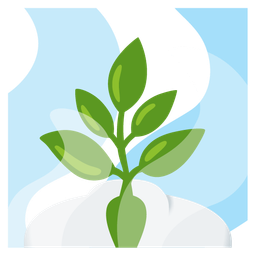 hot springs and herb