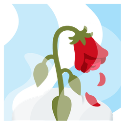 hot springs and wilted flower