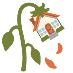 house and wilted flower