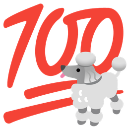 hundred points and poodle