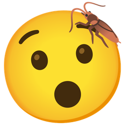 Hushed face and Cockroach