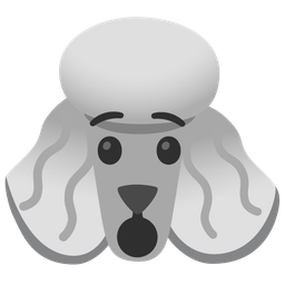 Hushed face and Poodle