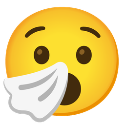 Hushed face and Sneezing face