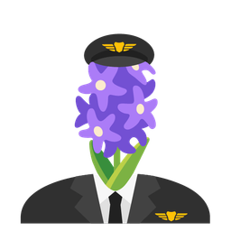 hyacinth and airplane