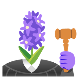 hyacinth and balance scale
