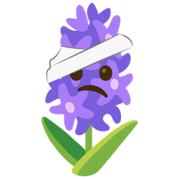 hyacinth and face with head-bandage