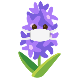 hyacinth and face with medical mask