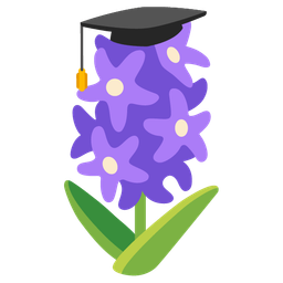 hyacinth and graduation cap