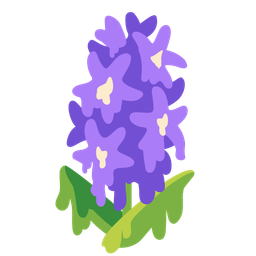 Hyacinth and Melting face