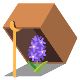 hyacinth and mouse trap