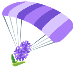 hyacinth and parachute