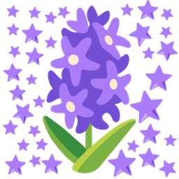 hyacinth and star