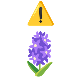 hyacinth and warning