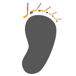 ice hockey and footprints