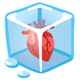 Ice and Anatomical heart
