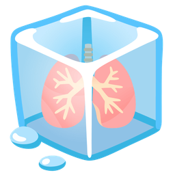 Ice and Lungs
