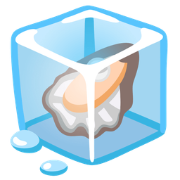 Ice and Oyster