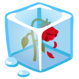 Ice and Wilted flower